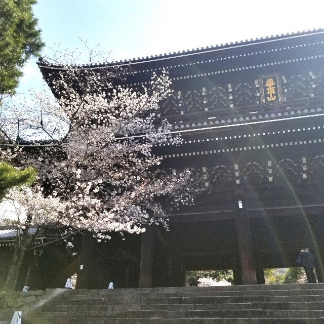 f:id:atoriatoriatori:20210408110456j:image f:id:atoriatoriatori:20210408110456j:image