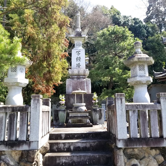 f:id:atoriatoriatori:20210408184804j:image f:id:atoriatoriatori:20210408184804j:image