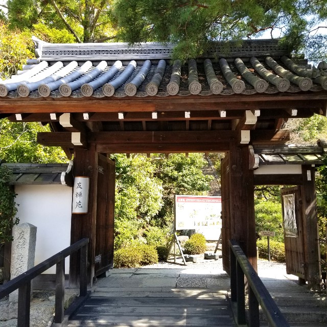 f:id:atoriatoriatori:20210411213825j:image