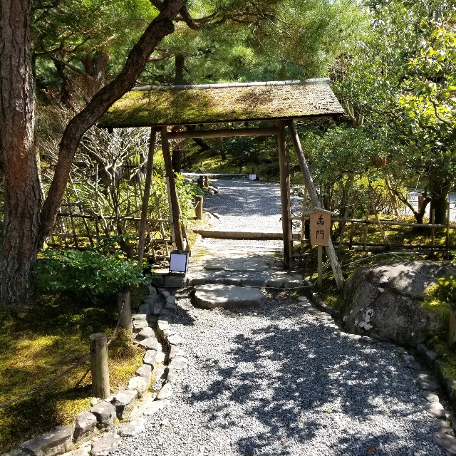 f:id:atoriatoriatori:20210411223447j:image