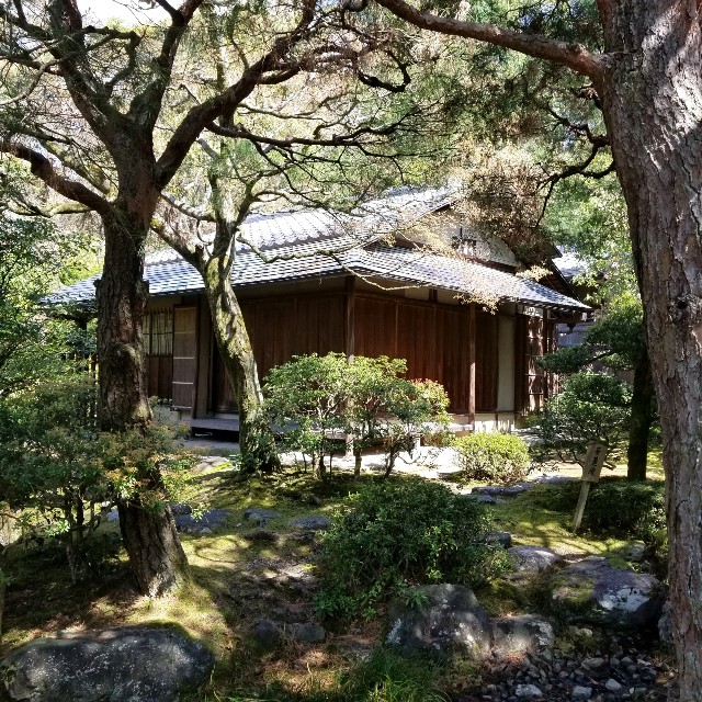 f:id:atoriatoriatori:20210411223458j:image