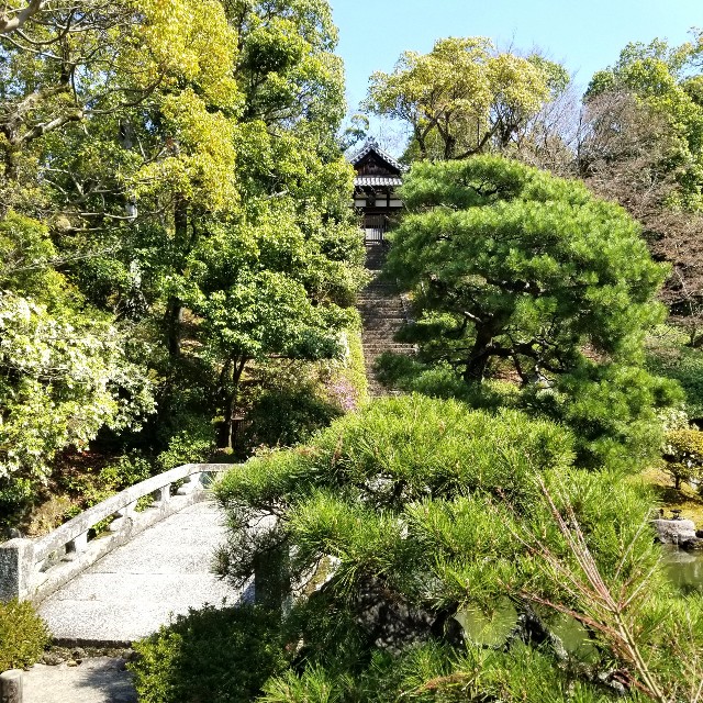 f:id:atoriatoriatori:20210412085357j:image