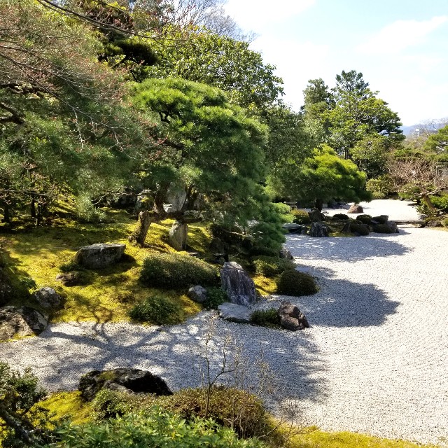f:id:atoriatoriatori:20210412085416j:image