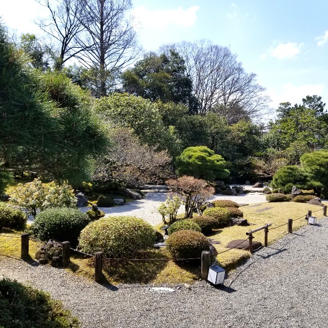 f:id:atoriatoriatori:20210412085432j:image
