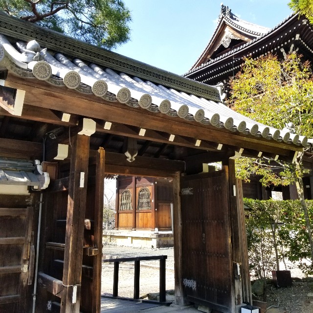 f:id:atoriatoriatori:20210412085925j:image