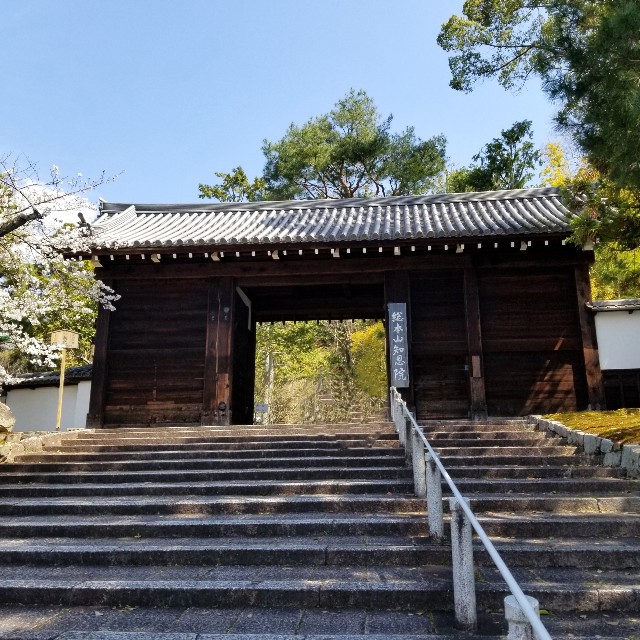 f:id:atoriatoriatori:20210412090019j:image