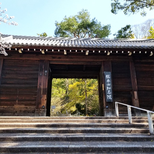 f:id:atoriatoriatori:20210412090028j:image
