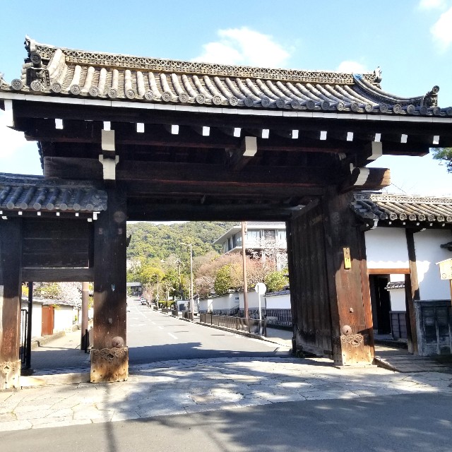 f:id:atoriatoriatori:20210412090255j:image