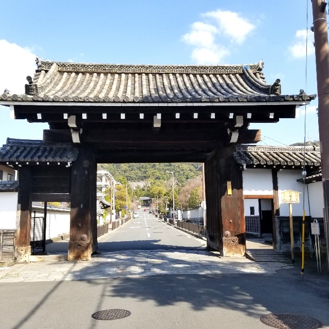 f:id:atoriatoriatori:20210412090303j:image