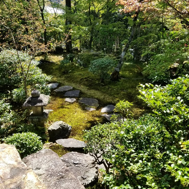 f:id:atoriatoriatori:20210428182905j:image