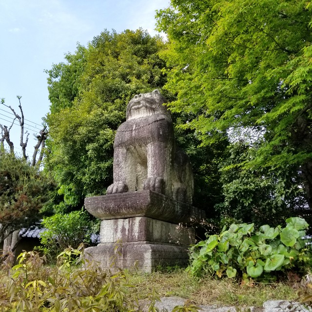f:id:atoriatoriatori:20210513120759j:image