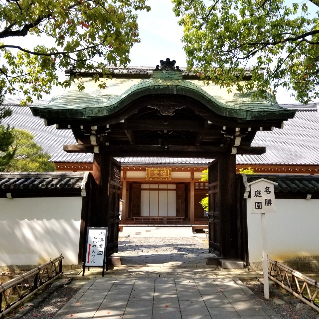 f:id:atoriatoriatori:20210515202834j:image