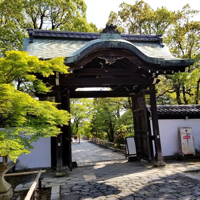 f:id:atoriatoriatori:20210515202843j:image