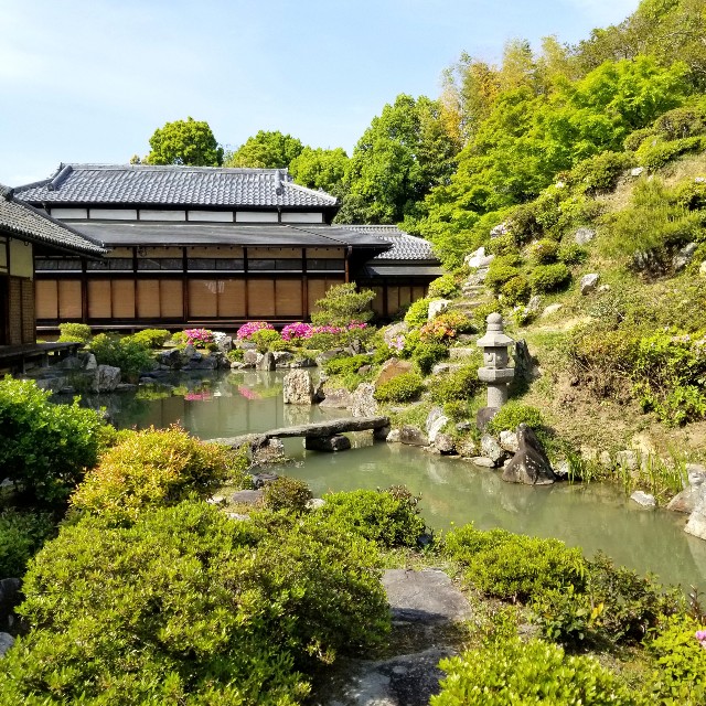 f:id:atoriatoriatori:20210515211341j:image