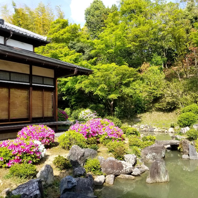 f:id:atoriatoriatori:20210516193139j:image