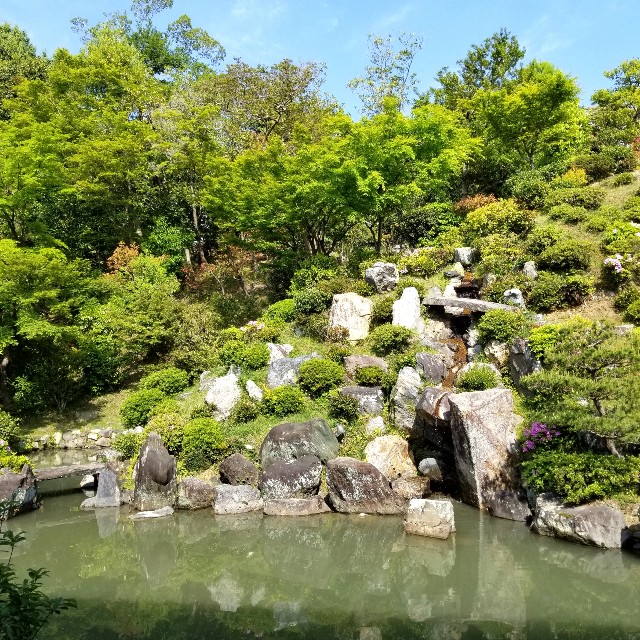 f:id:atoriatoriatori:20210516193351j:image