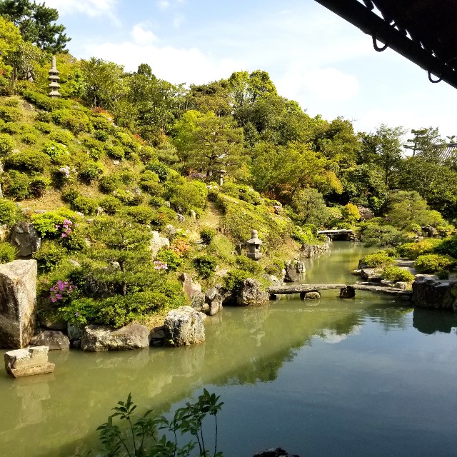 f:id:atoriatoriatori:20210516194053j:image