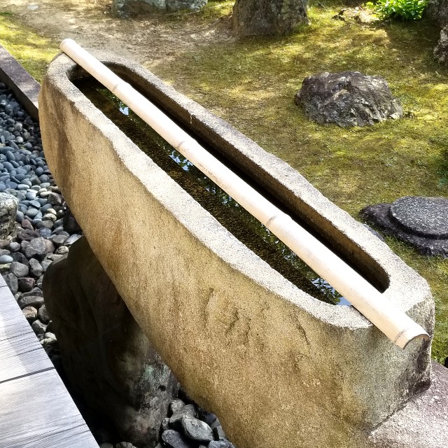 f:id:atoriatoriatori:20210516212621j:image