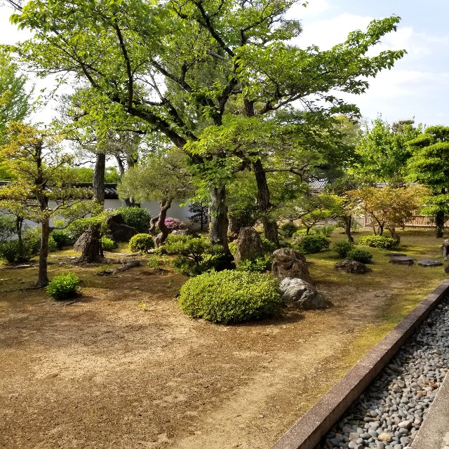 f:id:atoriatoriatori:20210517090103j:image