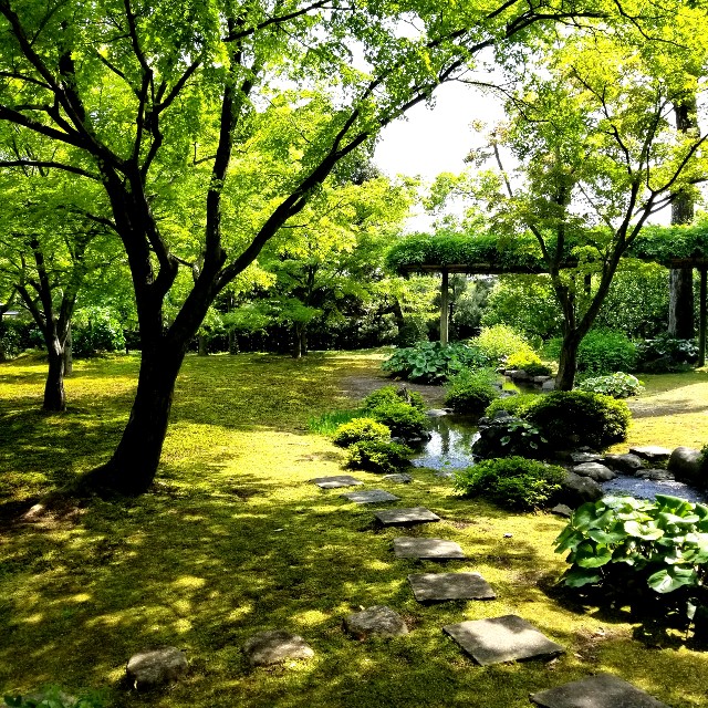 f:id:atoriatoriatori:20210520092237j:image