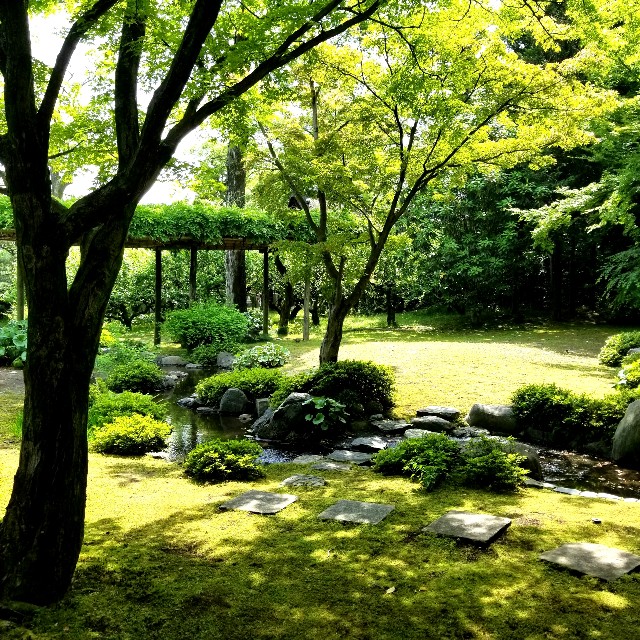 f:id:atoriatoriatori:20210520092246j:image