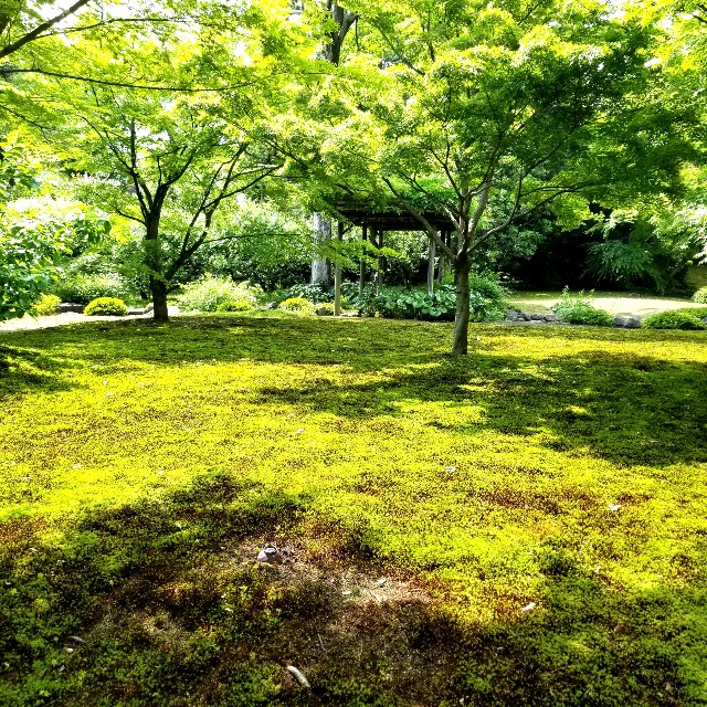 f:id:atoriatoriatori:20210520092302j:image