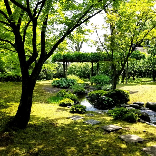 f:id:atoriatoriatori:20210520093437j:image