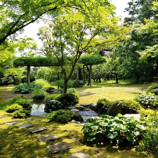 f:id:atoriatoriatori:20210520101604j:image