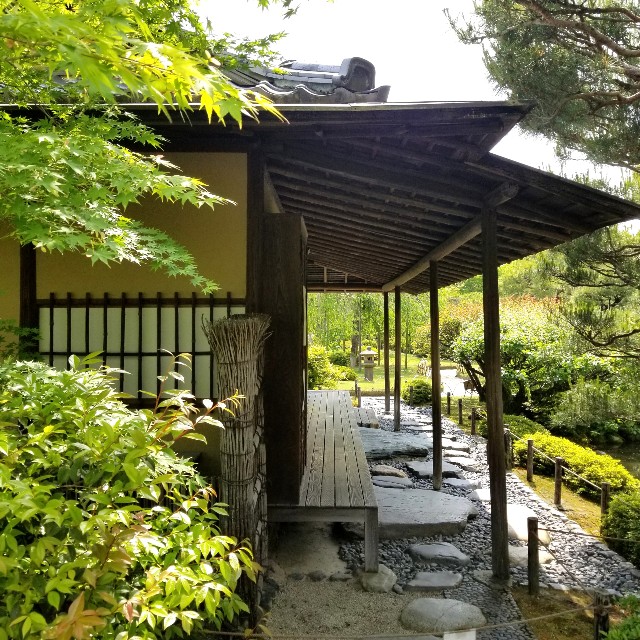 f:id:atoriatoriatori:20210520111219j:image