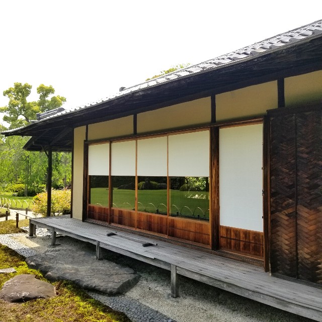 f:id:atoriatoriatori:20210520111229j:image