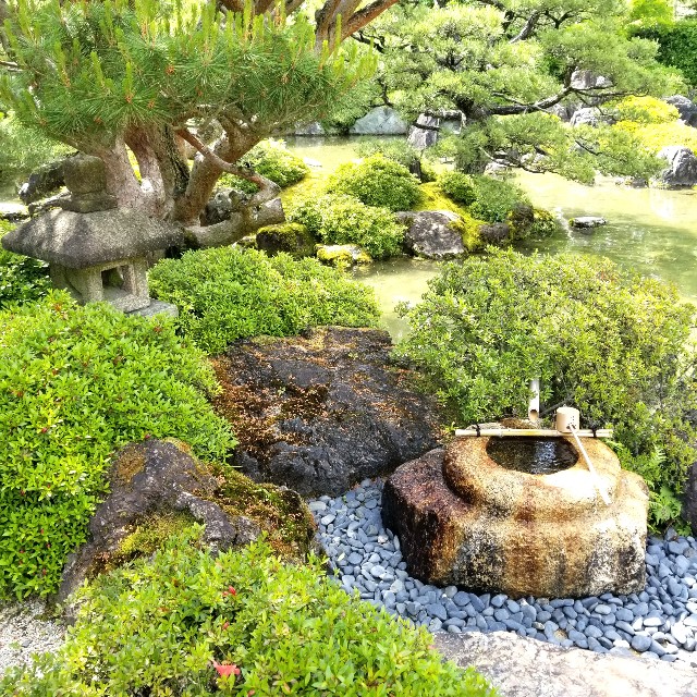 f:id:atoriatoriatori:20210520111239j:image