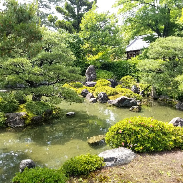 f:id:atoriatoriatori:20210520111418j:image