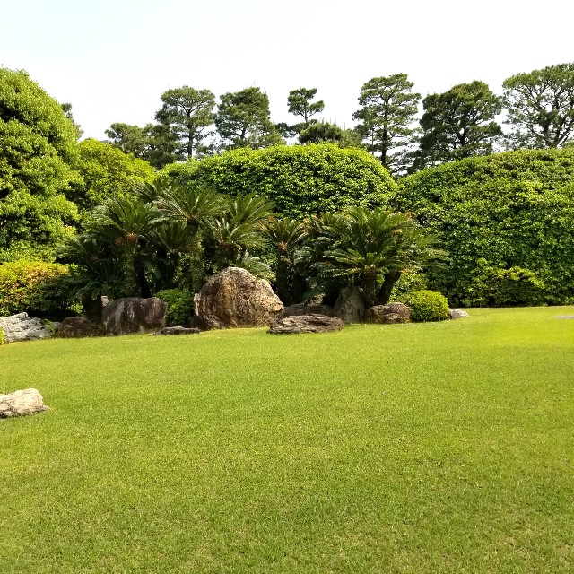 f:id:atoriatoriatori:20210520112148j:image