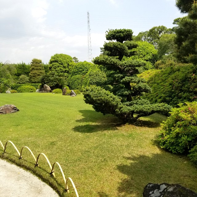f:id:atoriatoriatori:20210520112156j:image