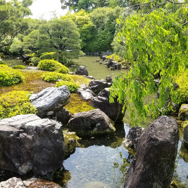 f:id:atoriatoriatori:20210520112838j:image
