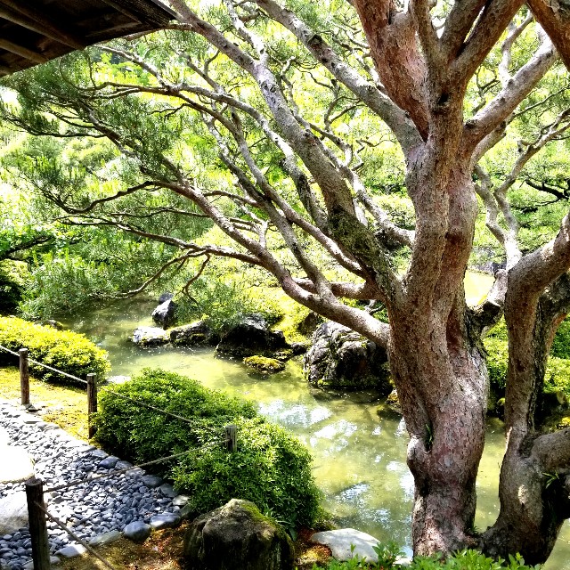 f:id:atoriatoriatori:20210520112853j:image