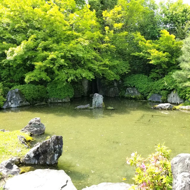 f:id:atoriatoriatori:20210520113225j:image