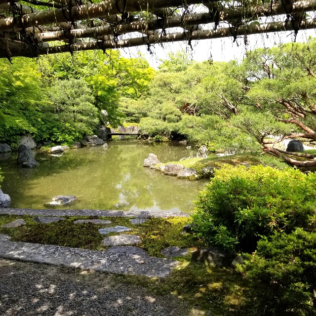 f:id:atoriatoriatori:20210520113233j:image