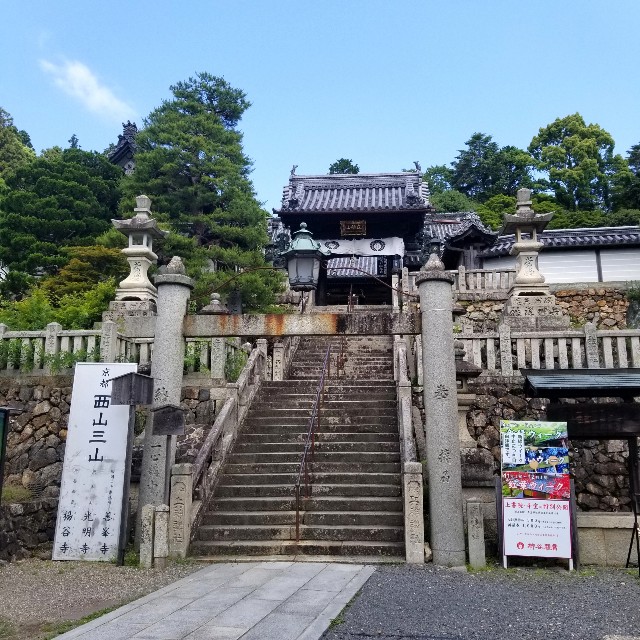 f:id:atoriatoriatori:20210528172540j:image