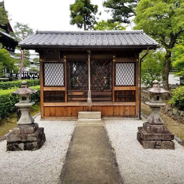 f:id:atoriatoriatori:20210602175923j:image