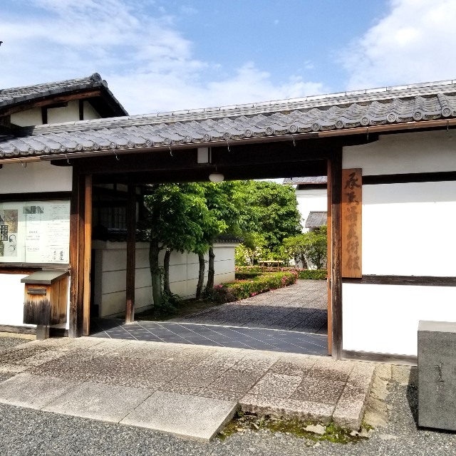 f:id:atoriatoriatori:20210603221533j:image