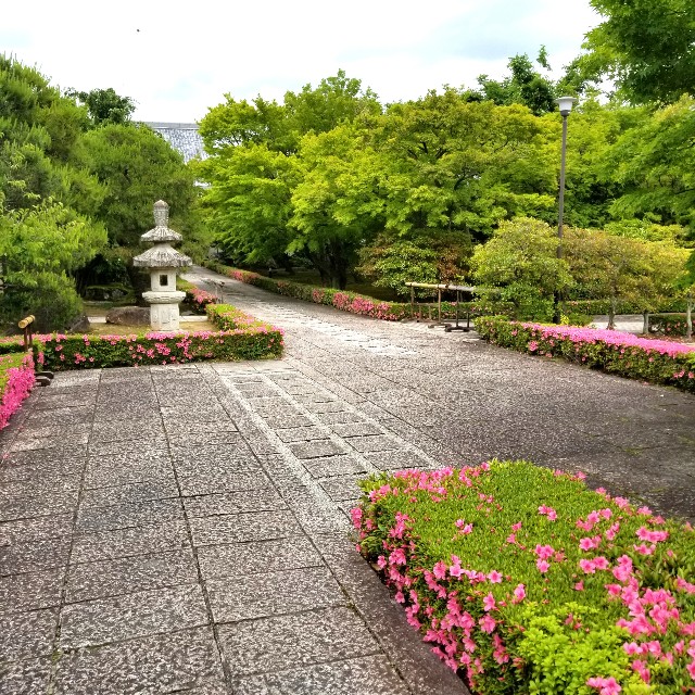 f:id:atoriatoriatori:20210603223156j:image