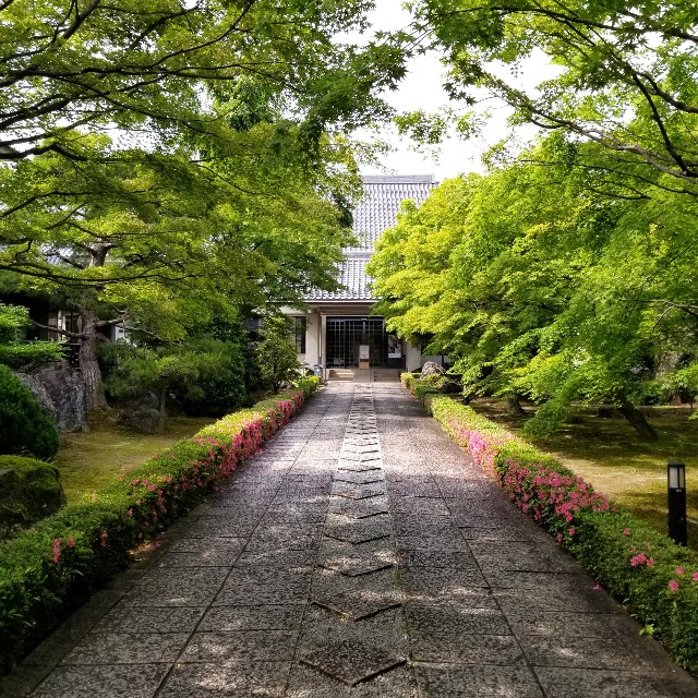 f:id:atoriatoriatori:20210603223205j:image