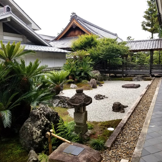 f:id:atoriatoriatori:20210603223217j:image