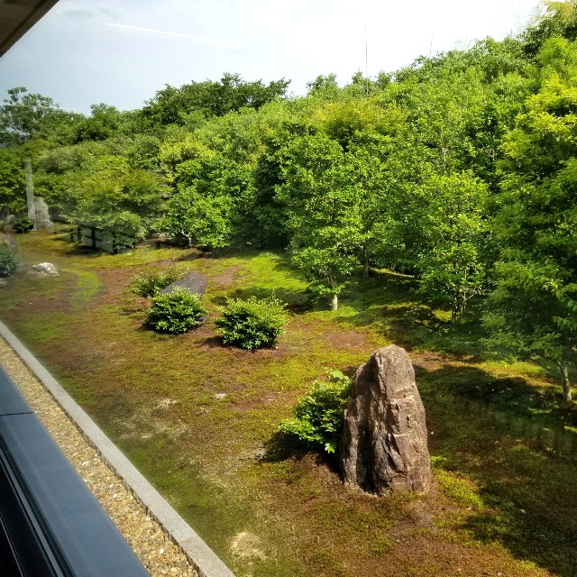f:id:atoriatoriatori:20210604110512j:image