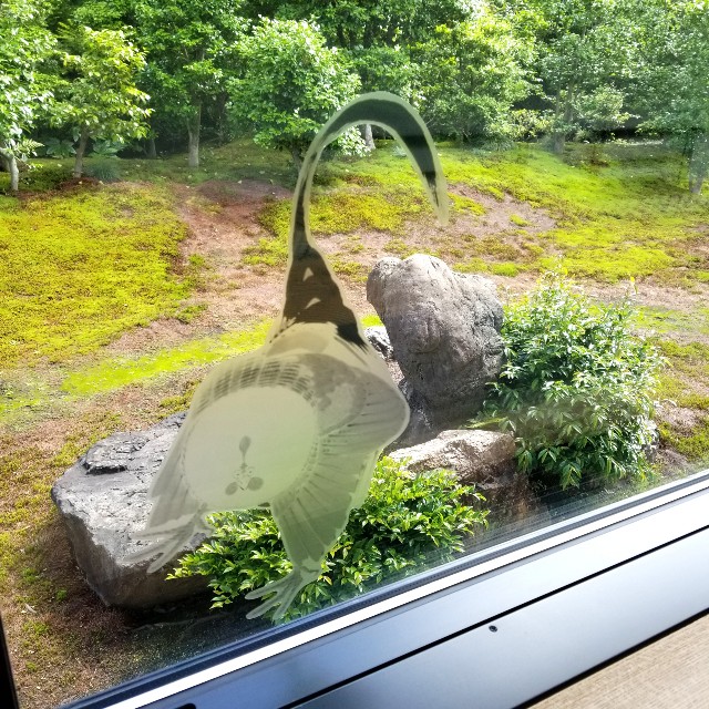 f:id:atoriatoriatori:20210604132451j:image