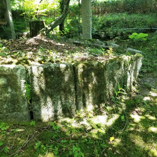 f:id:atoriatoriatori:20210615162943j:image