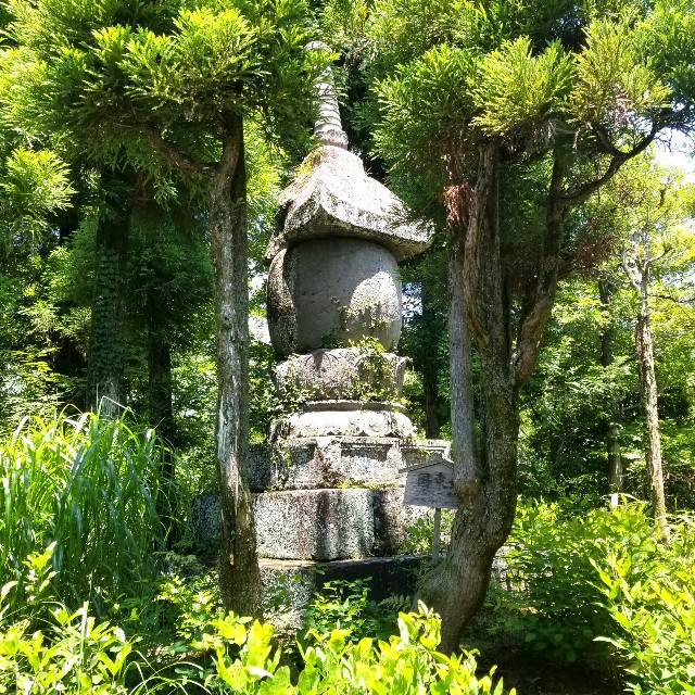 f:id:atoriatoriatori:20210615163044j:image