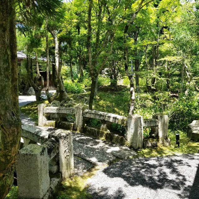 f:id:atoriatoriatori:20210615170808j:image