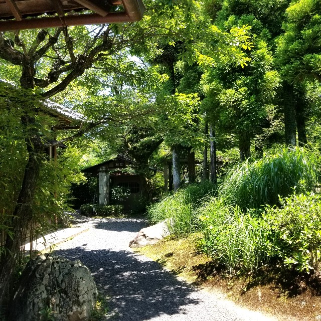 f:id:atoriatoriatori:20210615170927j:image